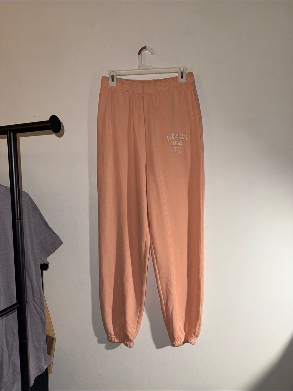 American Eagle Outfitters  Peach Logo Joggers
